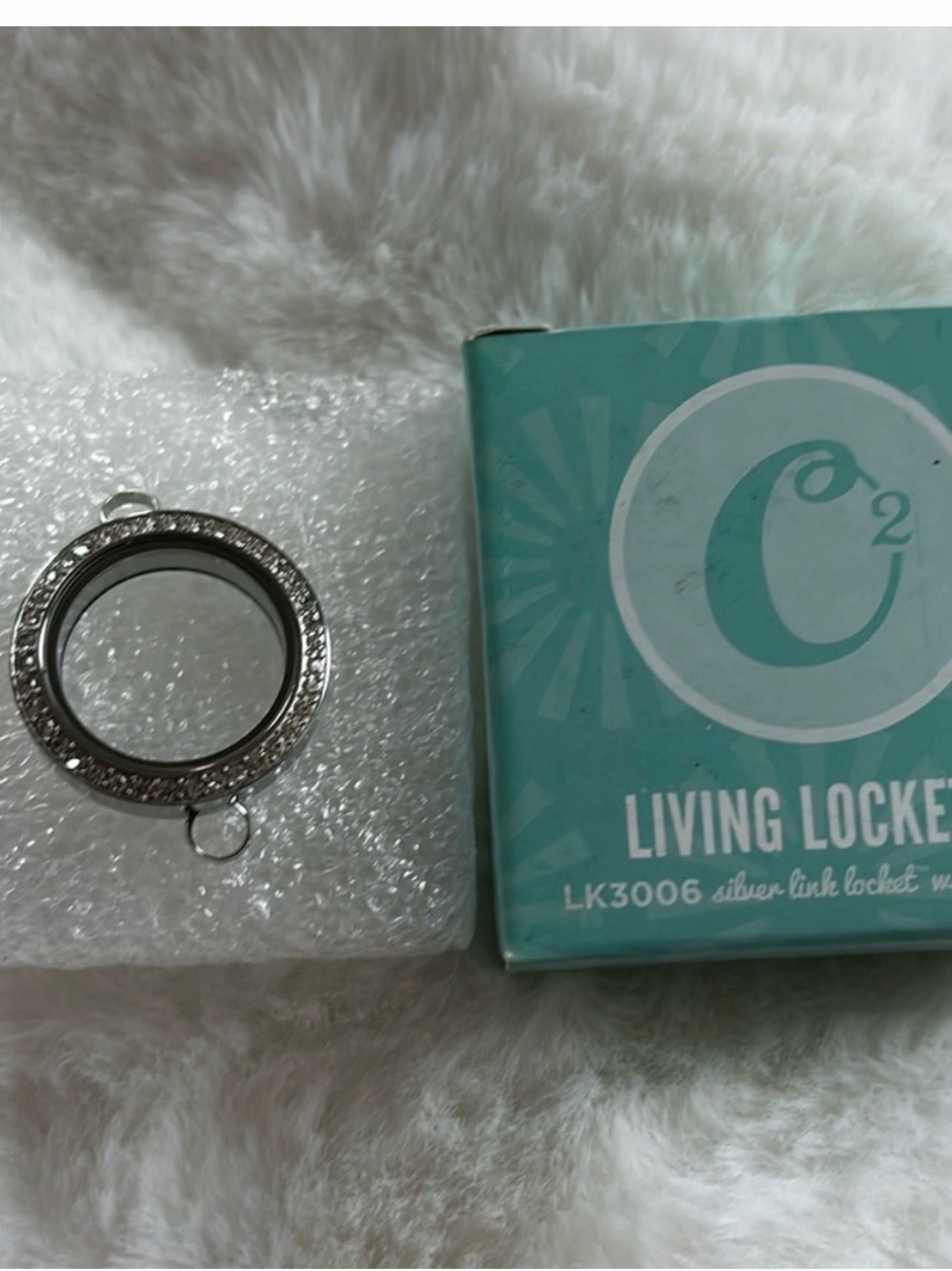 Living Locket Silver Crystal Frame Pendant